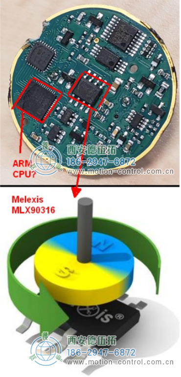 PCB 中心有一颗Melexis 芯片和可能是ARM的MCU